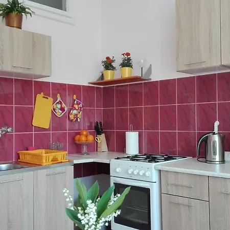 Krakowski Styl 公寓 *