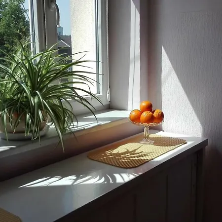 公寓 Krakowski Styl 克拉科夫