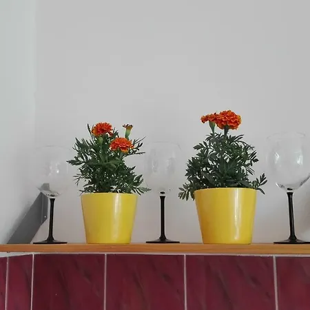 Krakowski Styl 克拉科夫